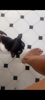 Marina La Rosa feet photo thumbnail