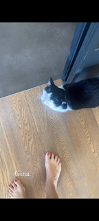 Marina La Rosa feet photo thumbnail