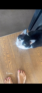 Marina La Rosa feet photo thumbnail