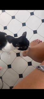 Marina La Rosa feet photo thumbnail