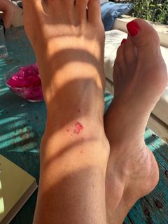 Marina La Rosa feet photo thumbnail