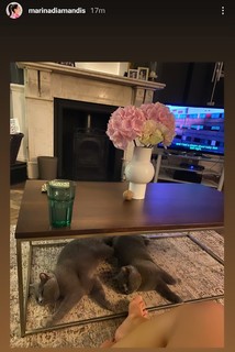 Marina Lambrini Diamandis feet photo thumbnail