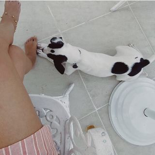 Marina Moschen feet photo 3