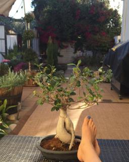 Marina Orlova feet photo thumbnail