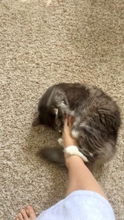 Marina Shafir feet photo thumbnail