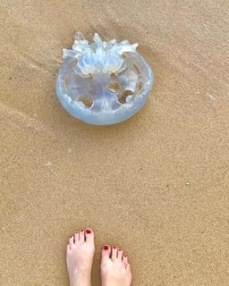 Marine Delterme feet photo 3