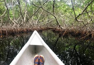 Marine Lorphelin feet photo thumbnail