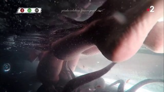 Marine Lorphelin feet photo thumbnail