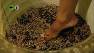 Marine Lorphelin feet photo thumbnail