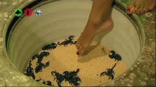 Marine Lorphelin feet photo thumbnail