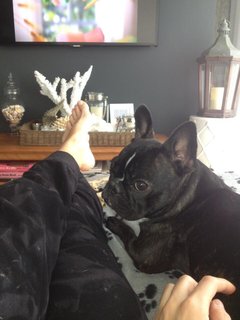 Maripier Morin feet photo 14