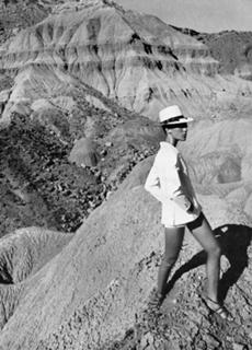 Marisa Berenson feet photo 8