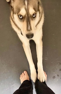 Marisol Nichols feet photo thumbnail