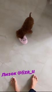Mariya Efrosinina feet photo 19