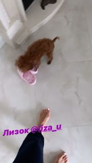 Mariya Efrosinina feet photo 18