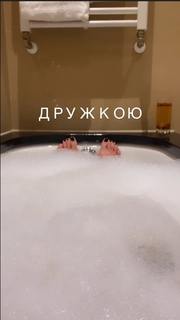 Mariya Efrosinina feet photo 12
