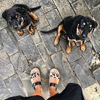 Mariya Gorban feet photo thumbnail