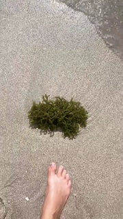 Mariya Gorban feet photo thumbnail