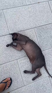 Mariya Gorban feet photo thumbnail