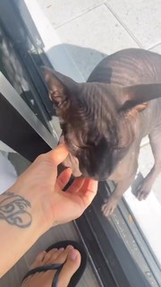 Mariya Gorban feet photo thumbnail