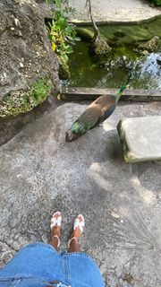 Mariya Gorban feet photo thumbnail