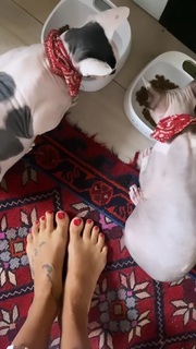 Mariya Gorban feet photo thumbnail