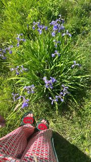 Mariya Gorban feet photo thumbnail