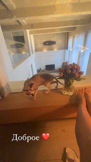 Mariya Gorban feet photo thumbnail