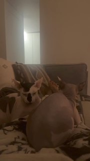 Mariya Gorban feet photo thumbnail