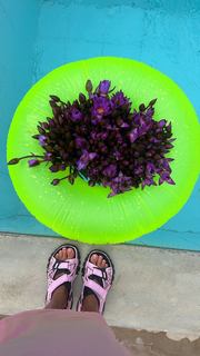 Mariya Gorban feet photo thumbnail