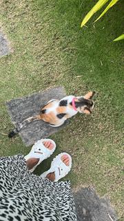 Mariya Gorban feet photo thumbnail