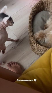 Mariya Gorban feet photo thumbnail