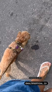 Mariya Gorban feet photo thumbnail