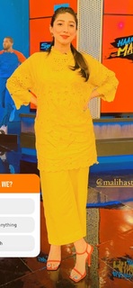 Mariyam Nafees feet photo 1