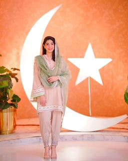 Mariyam Nafees feet photo 17