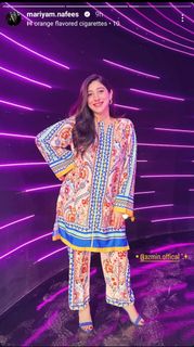 Mariyam Nafees feet photo 7