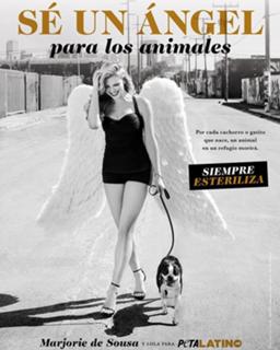 Marjorie De Sousa feet photo thumbnail