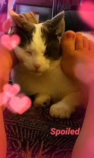 Marketa Ruzickova feet photo 18