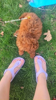 Marketa Ruzickova feet photo 20