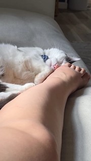 Marketa Ruzickova feet photo 17