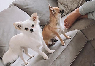 Marnie Simpson feet photo thumbnail