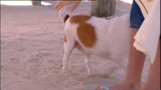 Marny Kennedy feet photo 7