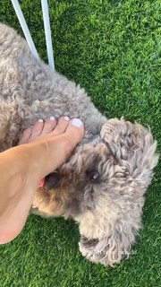 Marta Carriedo feet photo 14