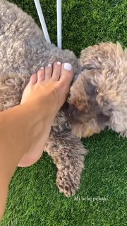 Marta Carriedo feet photo 13