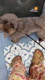 Marta Carriedo feet photo 12