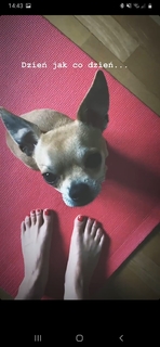 Marta Chodorowska feet photo 10