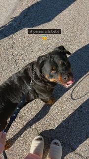 Marta Díaz feet photo thumbnail