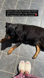 Marta Díaz feet photo thumbnail