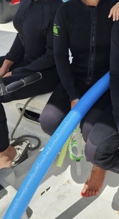 Marta Manowska feet photo 1