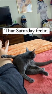 Marta Piekarz feet photo 4